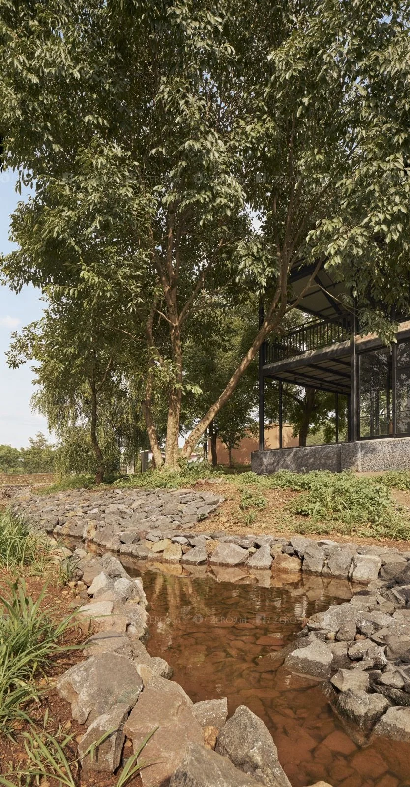 The Nest balcony swing — tucked into the treetops, a moment of pure stillness
